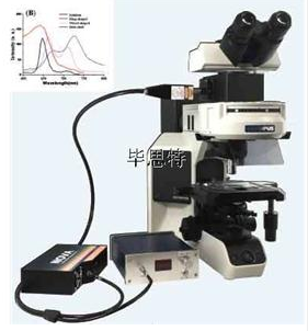 顯微分光光度計顯微光譜系統顯微分光光度計顯微紅外光譜儀、