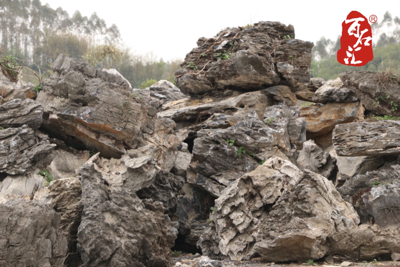 江蘇南京 英德石特級園林石 造景 英石生產基地 場地直營