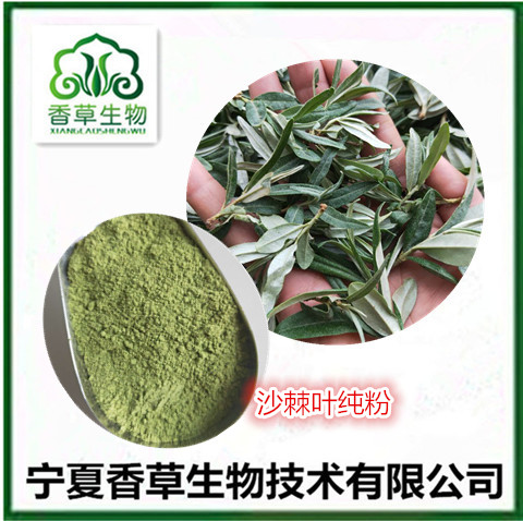 沙棘葉提取物 沙棘葉凍干粉批發(fā) 沙棘葉黃酮20%