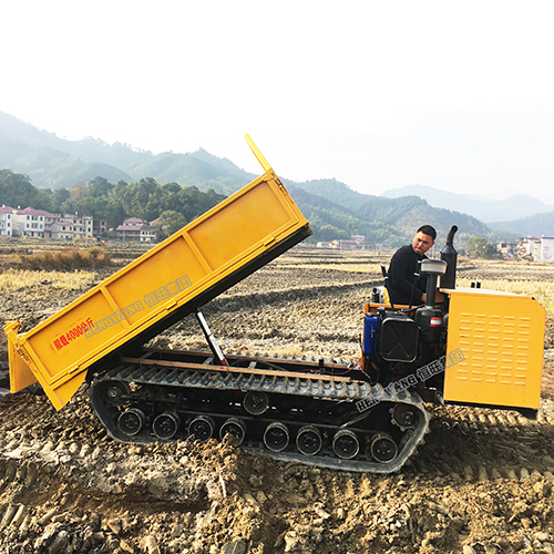 重型4T履帶運(yùn)輸車(chē) 可以涉水的履帶搬運(yùn)車(chē) 履帶爬山虎