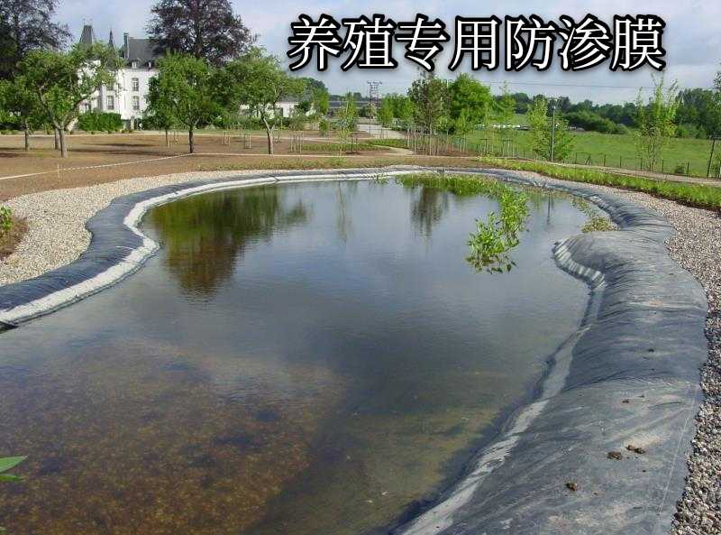 江西宜春物優(yōu)價廉廠家直銷防滲土工膜