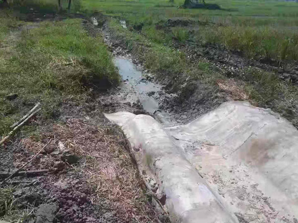 萍鄉水泥毯廠家直銷價格